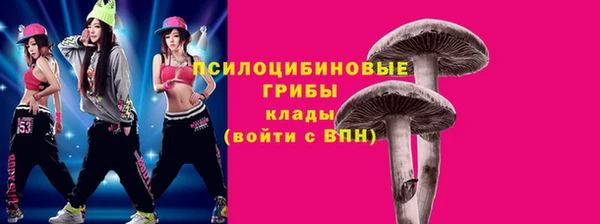 а пвп мука Медвежьегорск