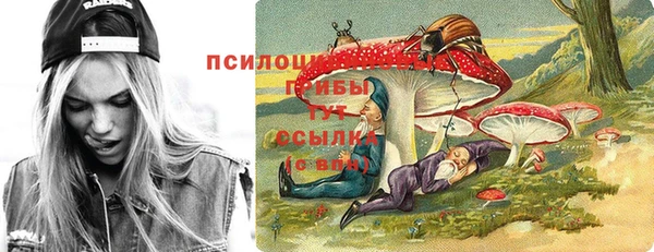 а пвп мука Медвежьегорск