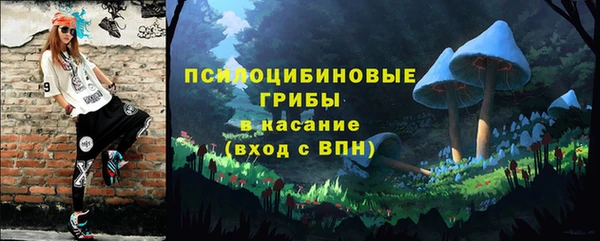 шишки Ростов